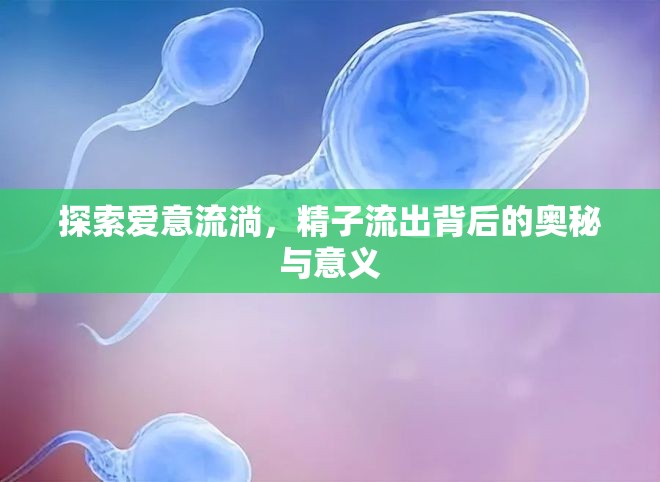 探索愛意流淌，精子流出背后的奧秘與意義