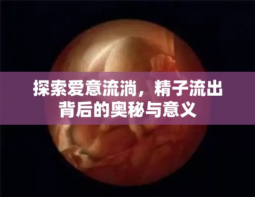 探索愛意流淌，精子流出背后的奧秘與意義