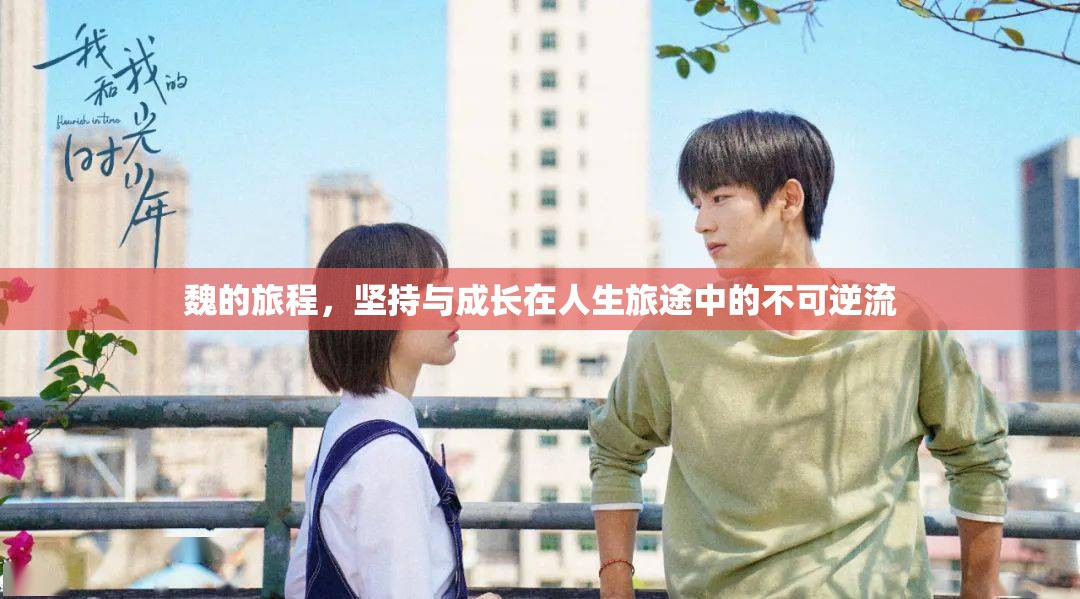 魏的旅程，堅(jiān)持與成長(zhǎng)在人生旅途中的不可逆流