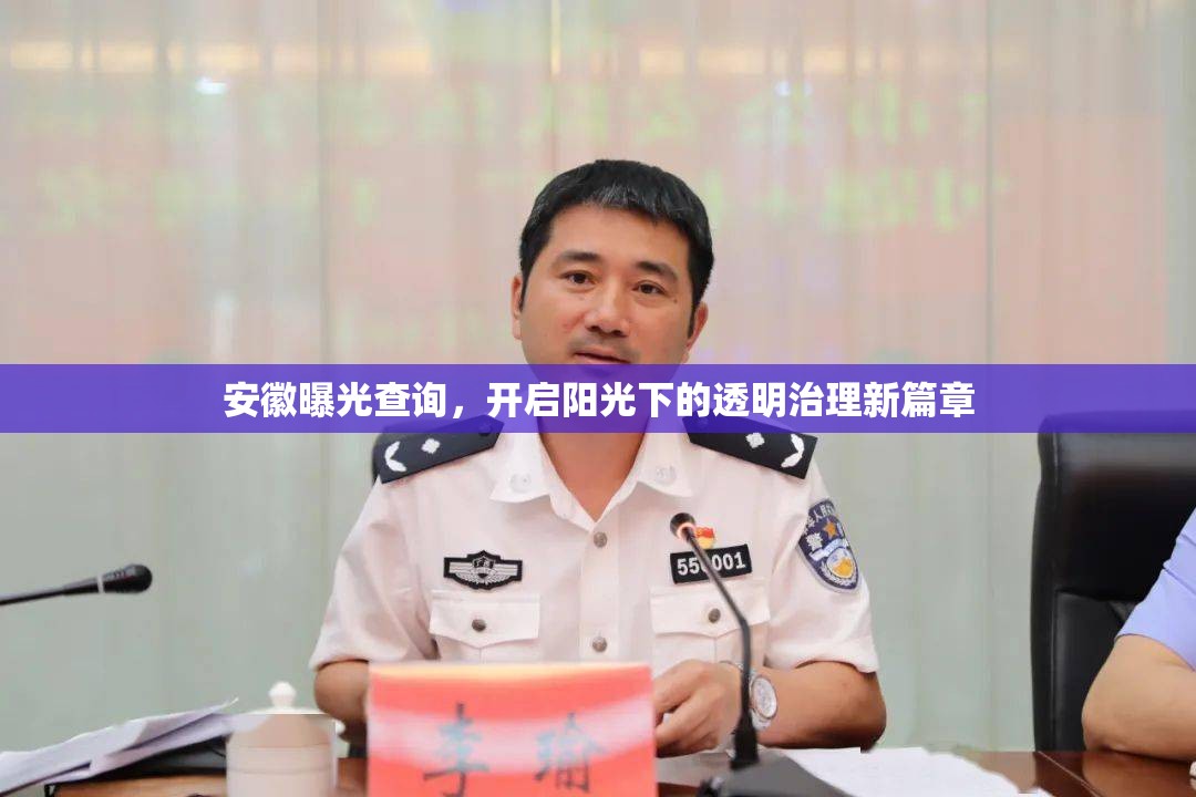 安徽曝光查詢，開啟陽光下的透明治理新篇章