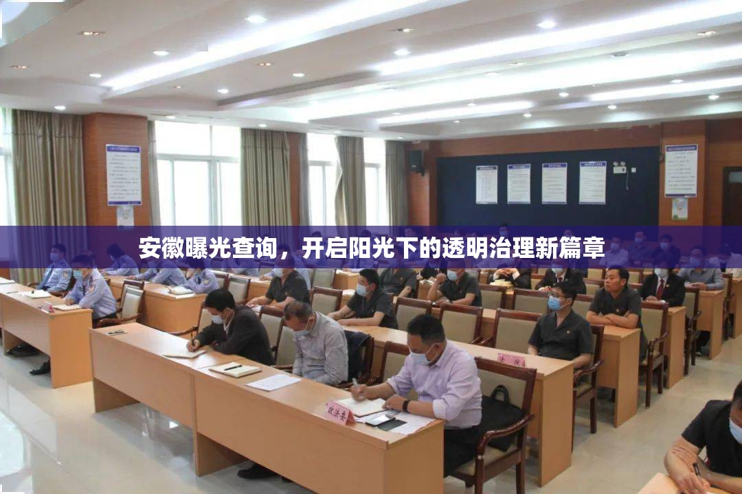 安徽曝光查詢，開啟陽光下的透明治理新篇章
