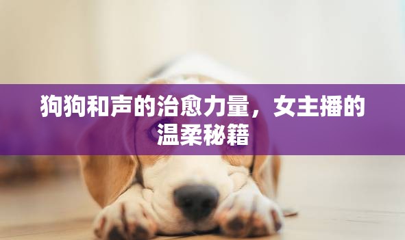 狗狗和聲的治愈力量，女主播的溫柔秘籍