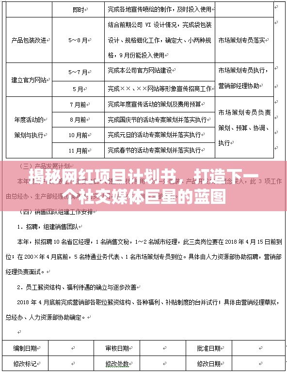揭秘網(wǎng)紅項目計劃書，打造下一個社交媒體巨星的藍(lán)圖