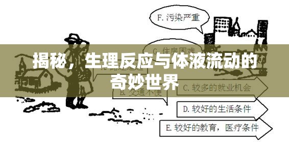 揭秘，生理反應(yīng)與體液流動的奇妙世界