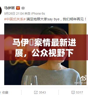 馬伊琍案情最新進(jìn)展，公眾視野下的法律較量
