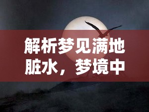 解析夢(mèng)見滿地臟水，夢(mèng)境中的污濁與深層含義