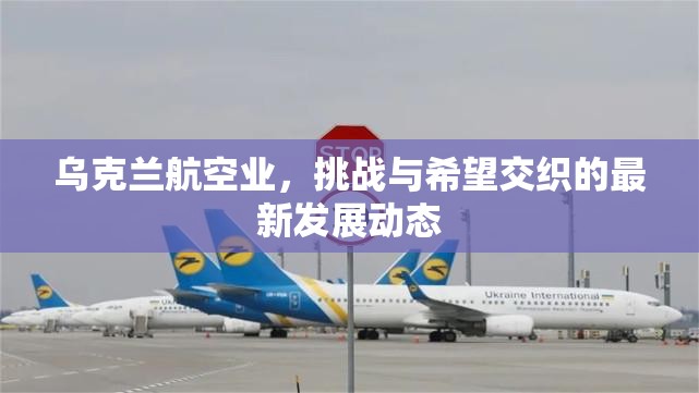 烏克蘭航空業(yè)，挑戰(zhàn)與希望交織的最新發(fā)展動態(tài)