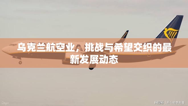 烏克蘭航空業(yè)，挑戰(zhàn)與希望交織的最新發(fā)展動態(tài)