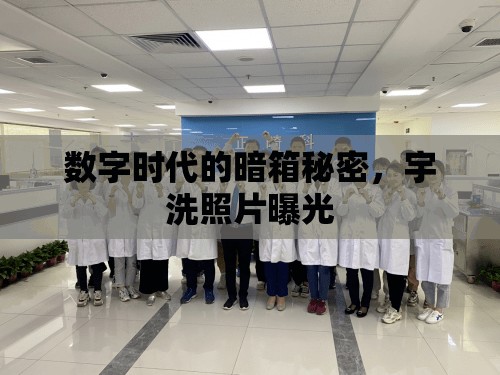 數(shù)字時(shí)代的暗箱秘密，宇洗照片曝光