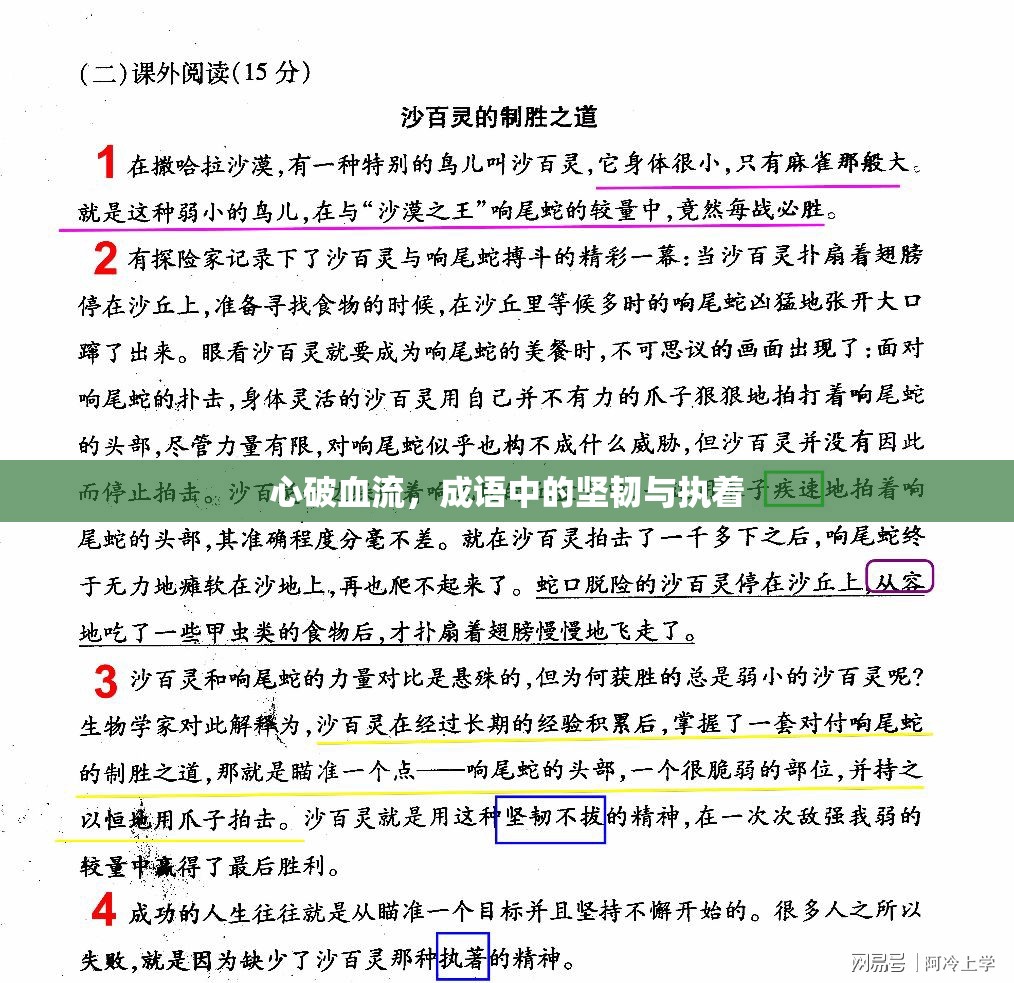 心破血流，成語中的堅韌與執(zhí)著