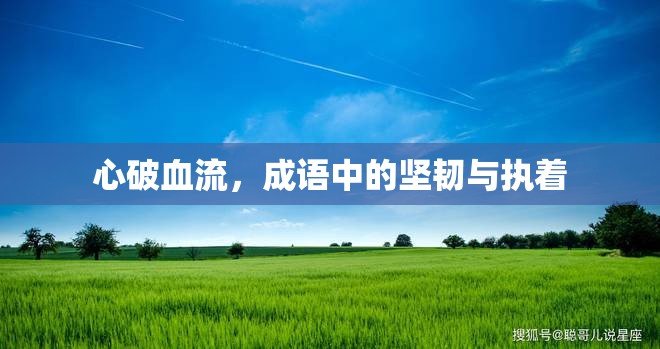 心破血流，成語中的堅韌與執(zhí)著