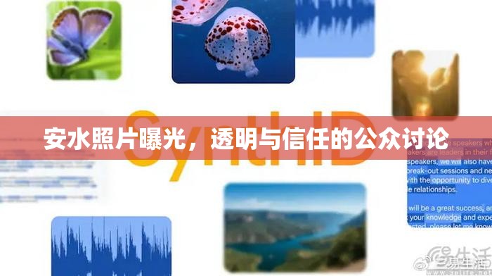 安水照片曝光，透明與信任的公眾討論