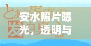 安水照片曝光，透明與信任的公眾討論