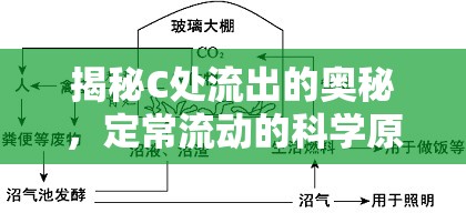 揭秘C處流出的奧秘，定常流動(dòng)的科學(xué)原理與應(yīng)用