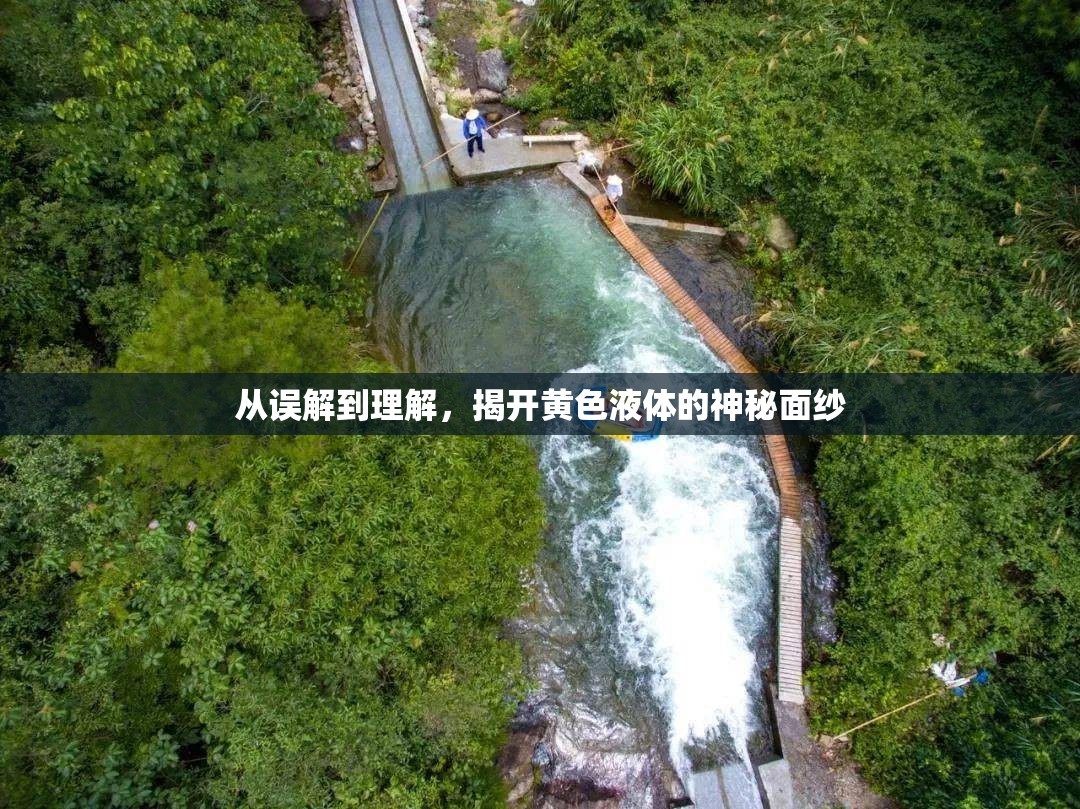 從誤解到理解，揭開黃色液體的神秘面紗
