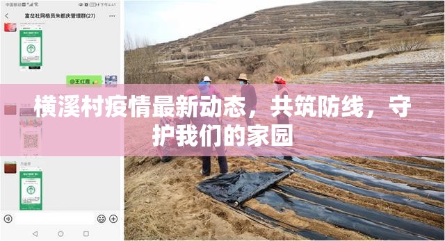 橫溪村疫情最新動態(tài)，共筑防線，守護我們的家園