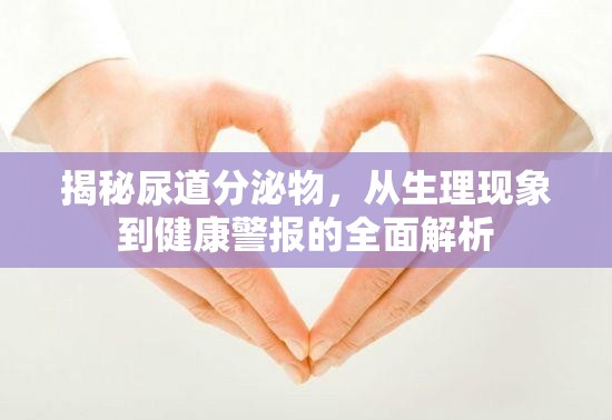 揭秘尿道分泌物，從生理現(xiàn)象到健康警報的全面解析