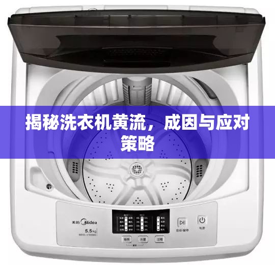 揭秘洗衣機(jī)黃流，成因與應(yīng)對(duì)策略
