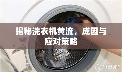 揭秘洗衣機(jī)黃流，成因與應(yīng)對(duì)策略