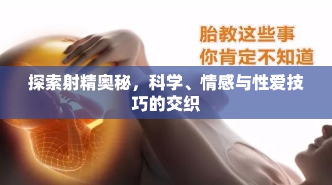 探索射精奧秘，科學(xué)、情感與性愛(ài)技巧的交織