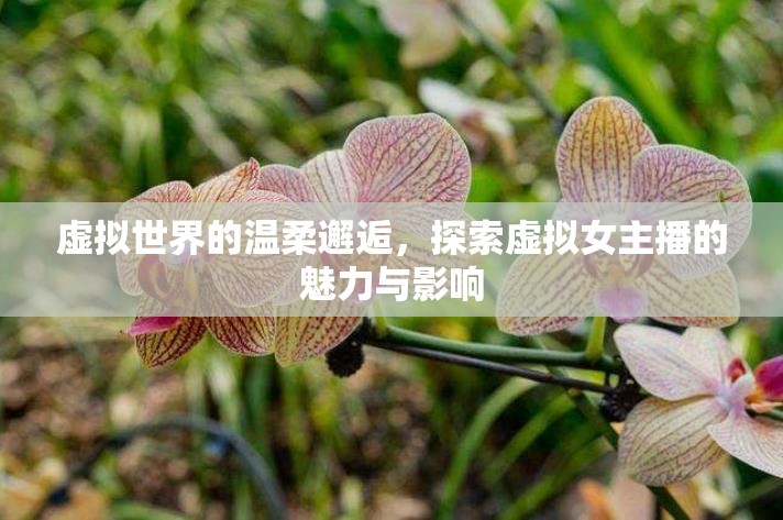 虛擬世界的溫柔邂逅，探索虛擬女主播的魅力與影響