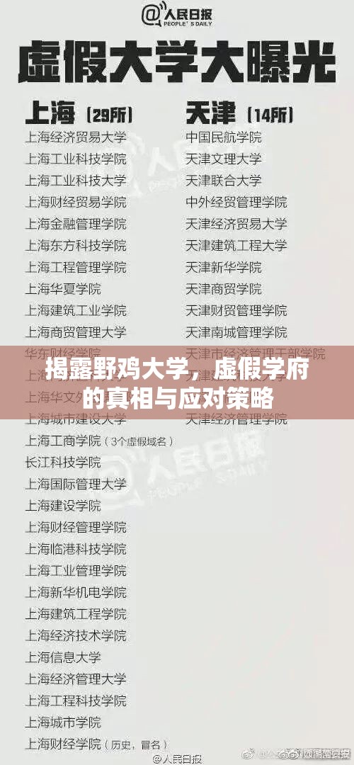 揭露野雞大學(xué)，虛假學(xué)府的真相與應(yīng)對策略