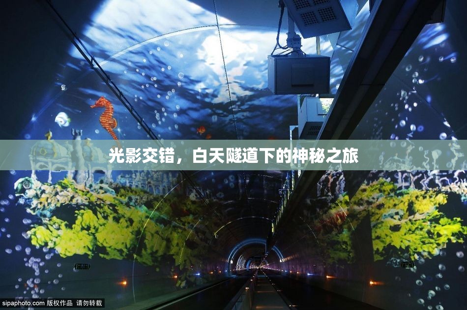 光影交錯，白天隧道下的神秘之旅