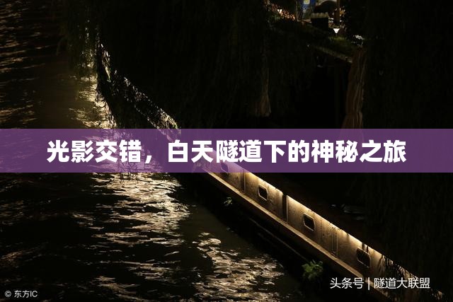 光影交錯，白天隧道下的神秘之旅
