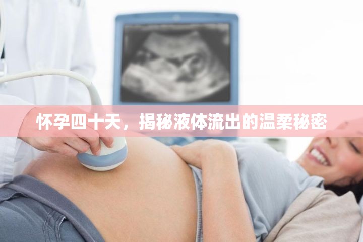 懷孕四十天，揭秘液體流出的溫柔秘密