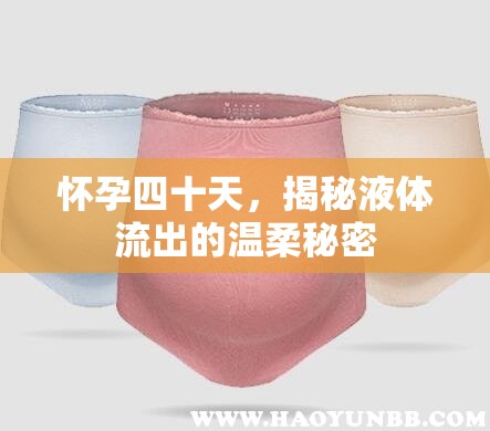 懷孕四十天，揭秘液體流出的溫柔秘密