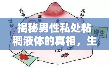 揭秘男性私處粘稠液體的真相，生理現(xiàn)象與健康指南