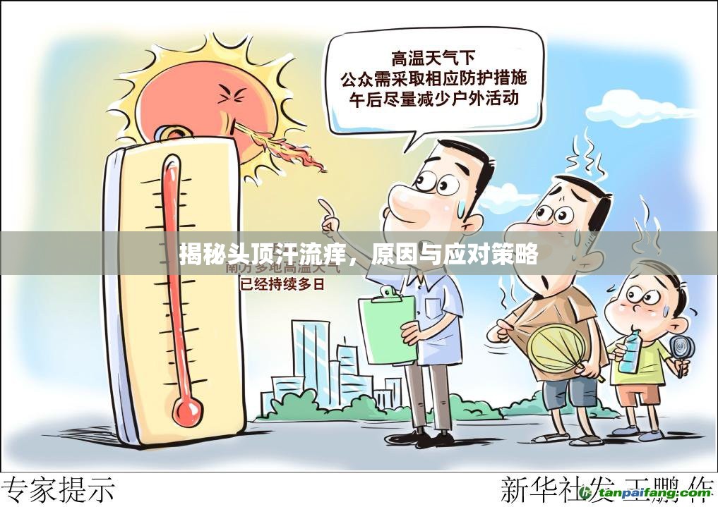 揭秘頭頂汗流癢，原因與應(yīng)對策略