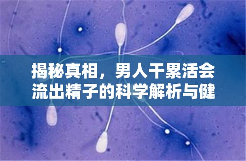 揭秘真相，男人干累活會(huì)流出精子的科學(xué)解析與健康指導(dǎo)