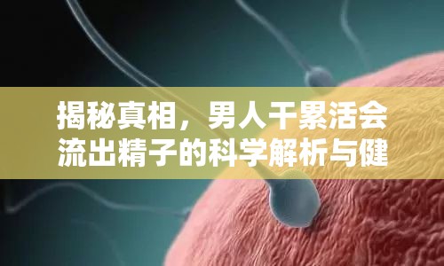 揭秘真相，男人干累活會(huì)流出精子的科學(xué)解析與健康指導(dǎo)