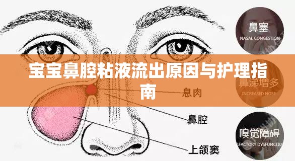 寶寶鼻腔粘液流出原因與護(hù)理指南