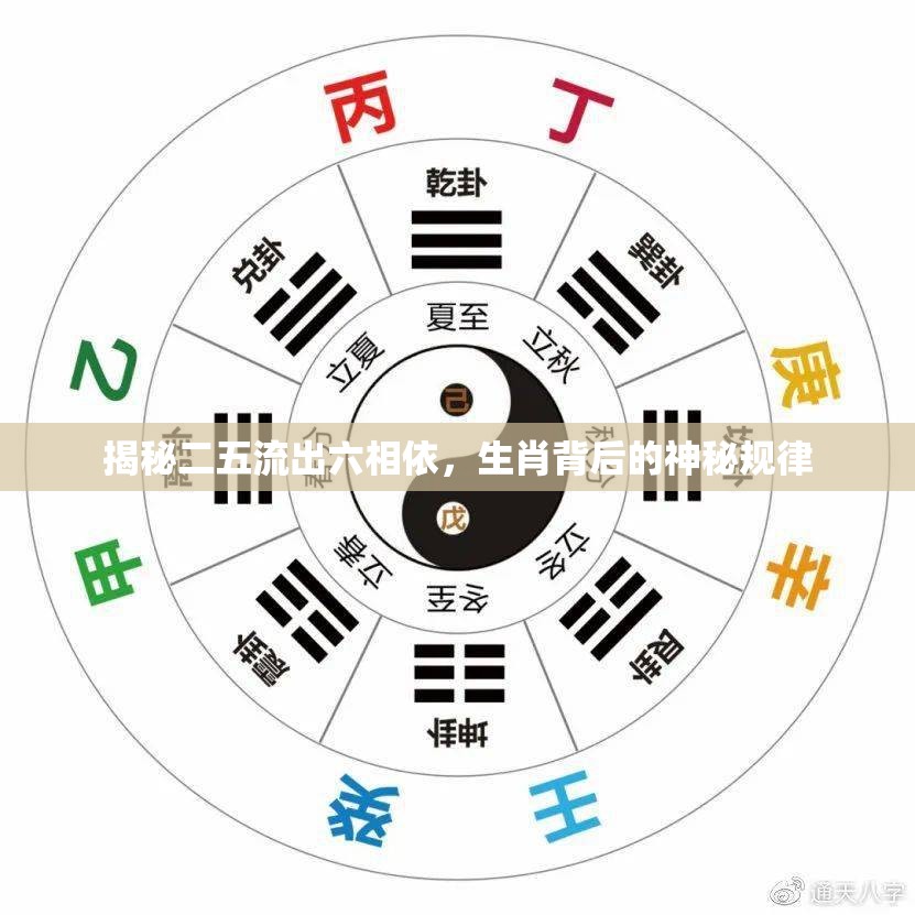 揭秘二五流出六相依，生肖背后的神秘規(guī)律