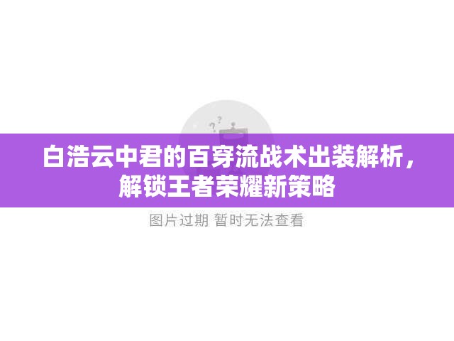 白浩云中君的百穿流戰(zhàn)術(shù)出裝解析，解鎖王者榮耀新策略