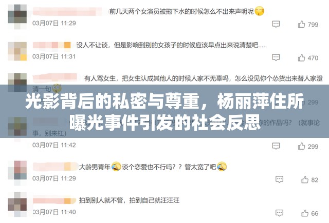 光影背后的私密與尊重，楊麗萍住所曝光事件引發(fā)的社會(huì)反思