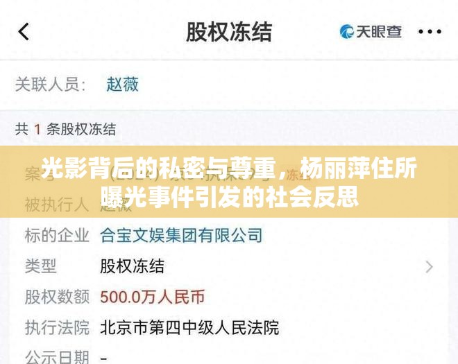 光影背后的私密與尊重，楊麗萍住所曝光事件引發(fā)的社會(huì)反思
