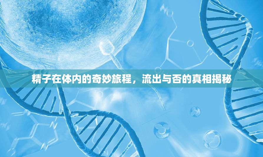 精子在體內(nèi)的奇妙旅程，流出與否的真相揭秘
