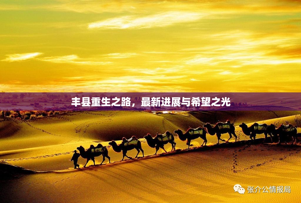 豐縣重生之路，最新進(jìn)展與希望之光