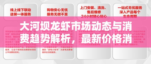 大河壩龍蝦市場動態(tài)與消費趨勢解析，最新價格消息