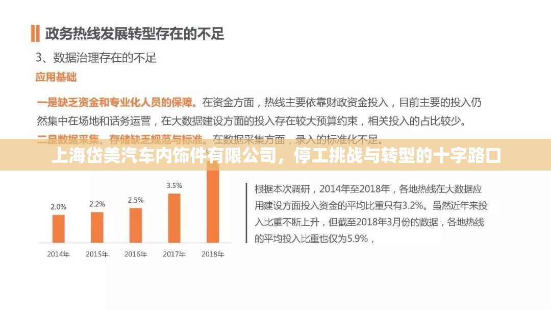 上海岱美汽車內飾件有限公司，停工挑戰(zhàn)與轉型的十字路口