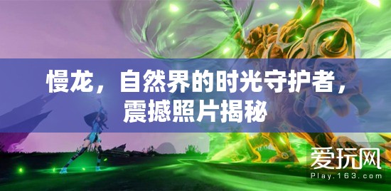 慢龍，自然界的時(shí)光守護(hù)者，震撼照片揭秘