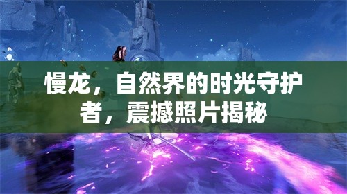 慢龍，自然界的時(shí)光守護(hù)者，震撼照片揭秘