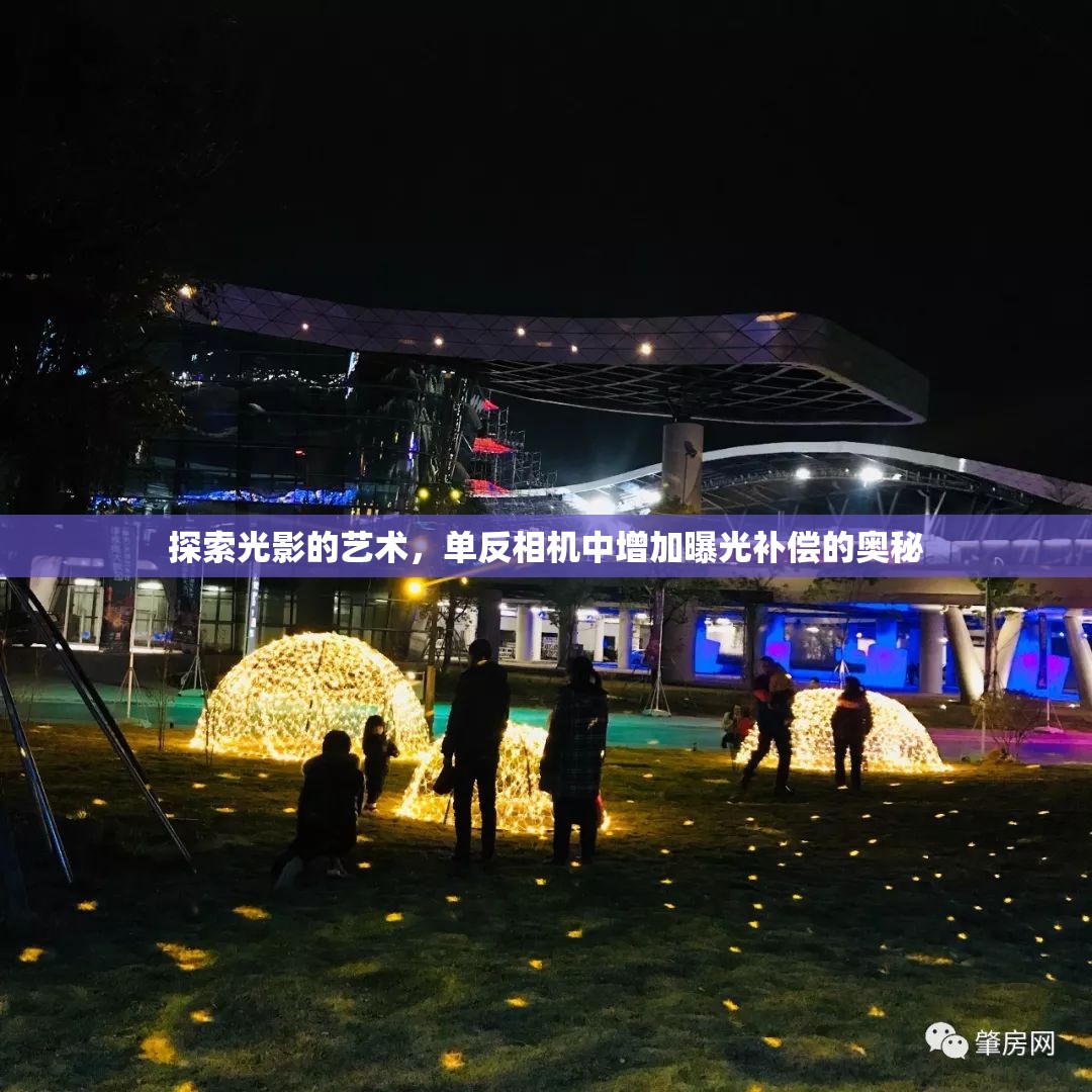 探索光影的藝術(shù)，單反相機中增加曝光補償?shù)膴W秘