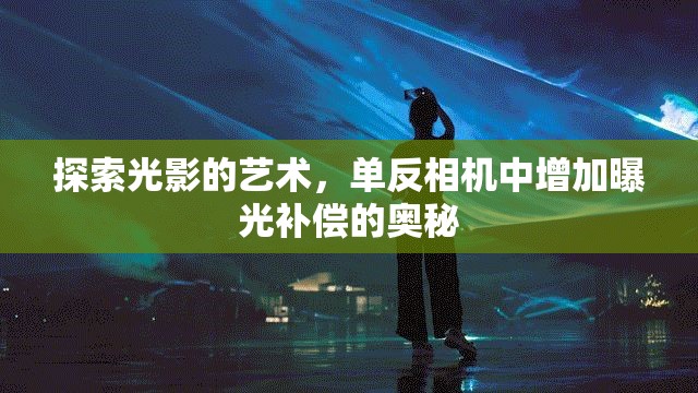 探索光影的藝術(shù)，單反相機中增加曝光補償?shù)膴W秘