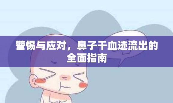 警惕與應(yīng)對，鼻子干血跡流出的全面指南
