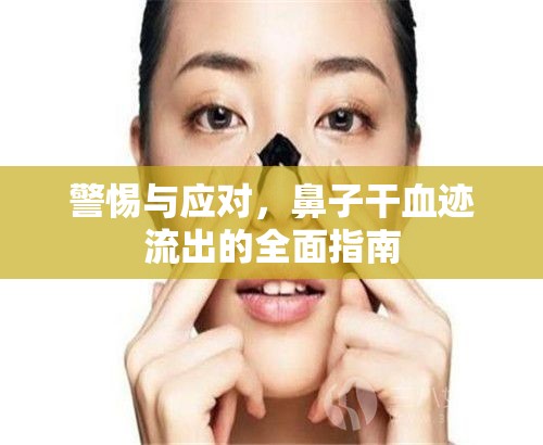 警惕與應(yīng)對，鼻子干血跡流出的全面指南