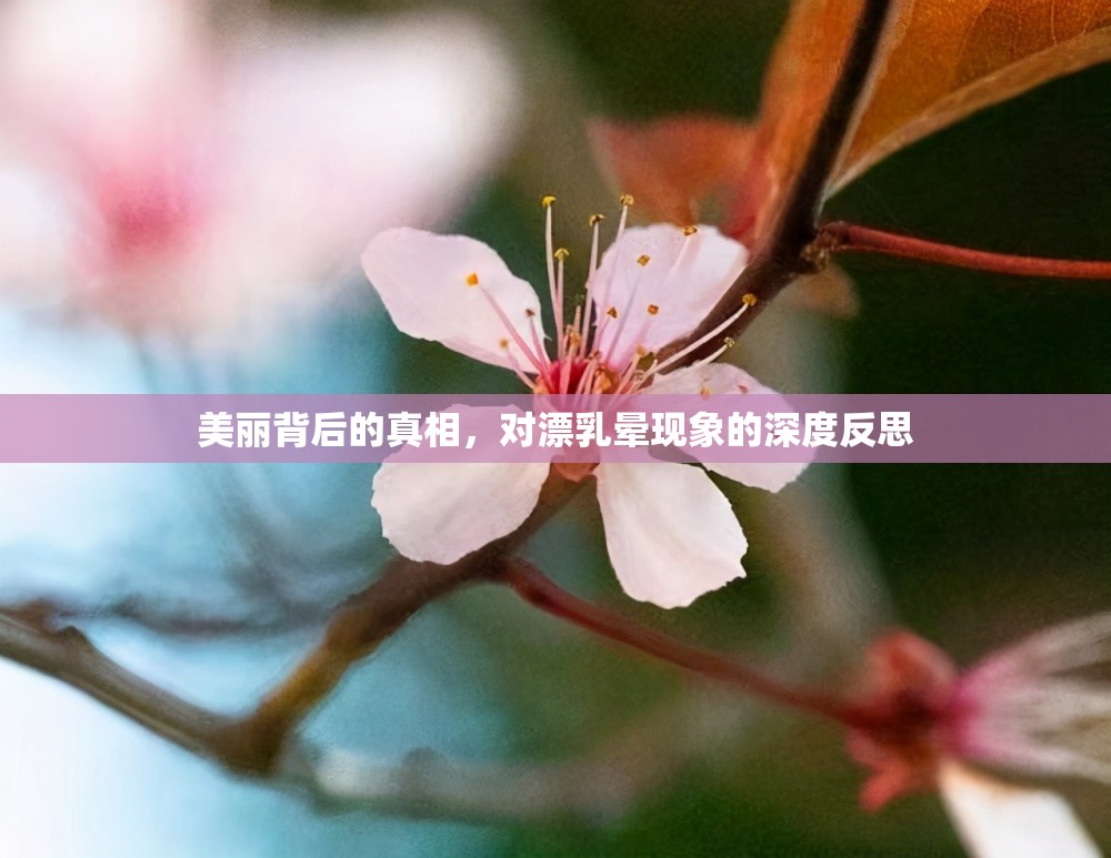 美麗背后的真相，對漂乳暈現(xiàn)象的深度反思